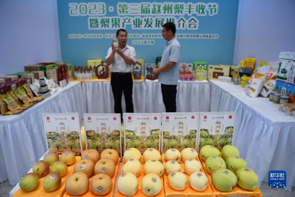 赌盘网网址